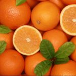 صادرات پرتقال ( پرتقال تازه – پرتقال خشک )